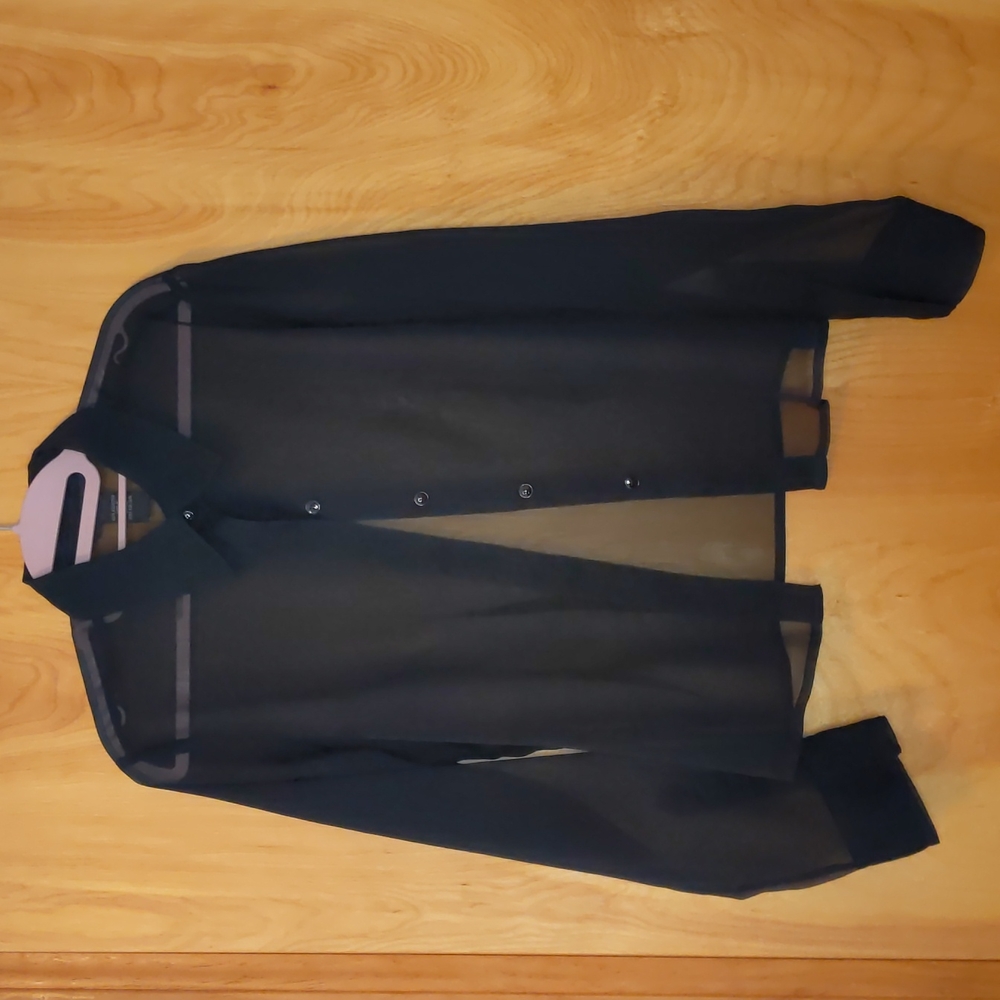 Express Sheer Button Down Blouse - image 1